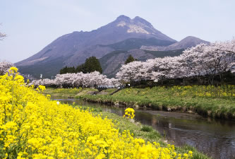 汤布院 御宿一禅